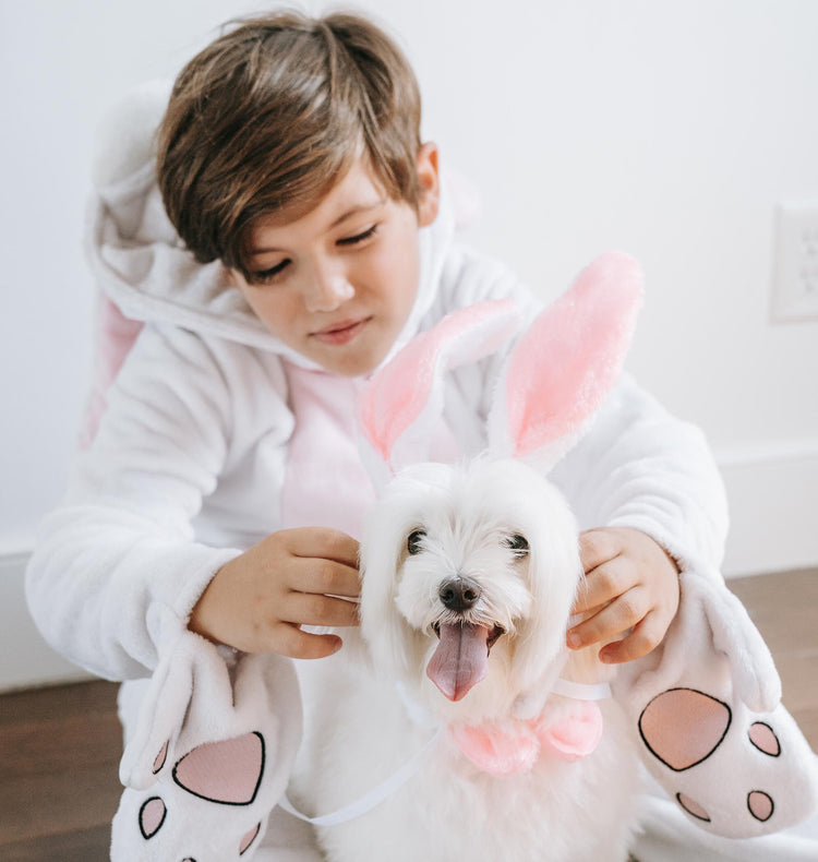 Best Easter Basket Stuffers for Dogs