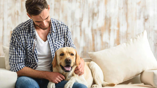 5 Simple Tricks To Create A More Conscious Connection With Your Pets